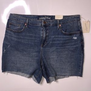 Boyfriend Jean Shorts size 22W NWT